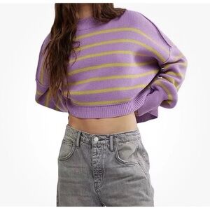 NWT Free People Womens SZ L Iris Orchid Stripe Easy Street Cropped Sweater